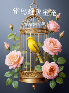 南柯沈时渊