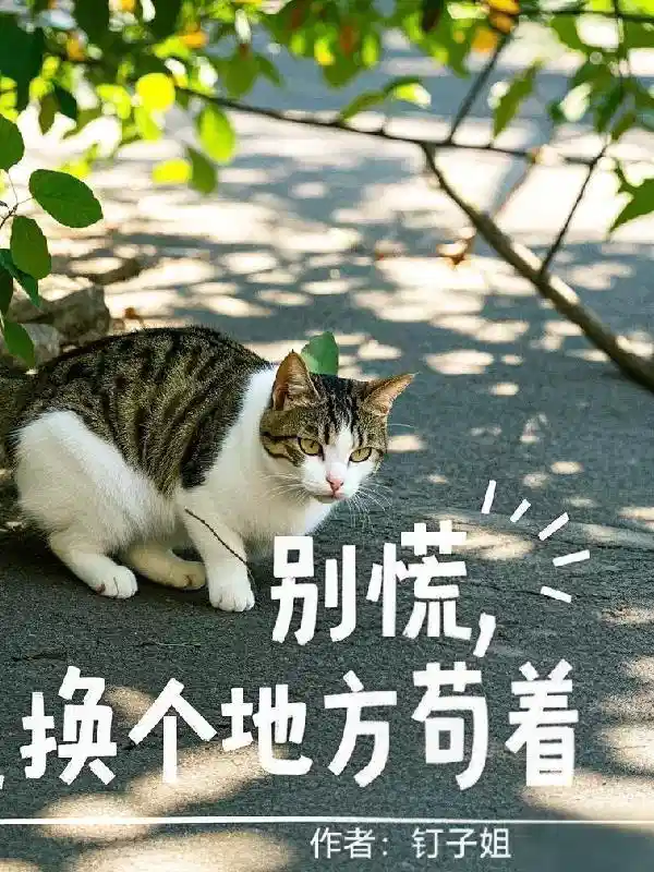 别慌，换个地方苟着